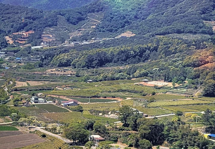 [韩国漫画] 傻瓜病毒 剧情,性玩具#[288P]-4