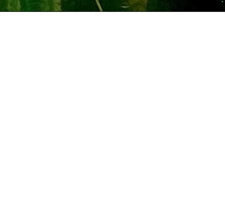 [韩国漫画] 恶女勾勾缠 剧情,女学生,巨乳大奶#[199P]-103