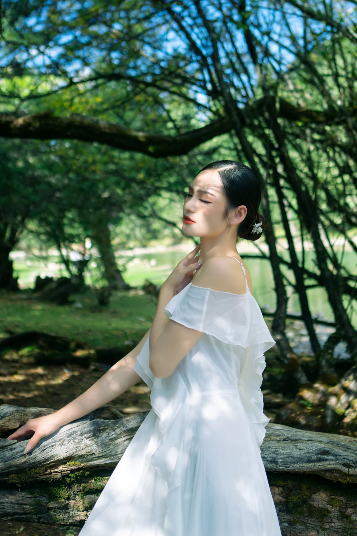 [艺图语] 2023.02.04 Vol.2967 静谧森林 谢阿玲#[26P]-5