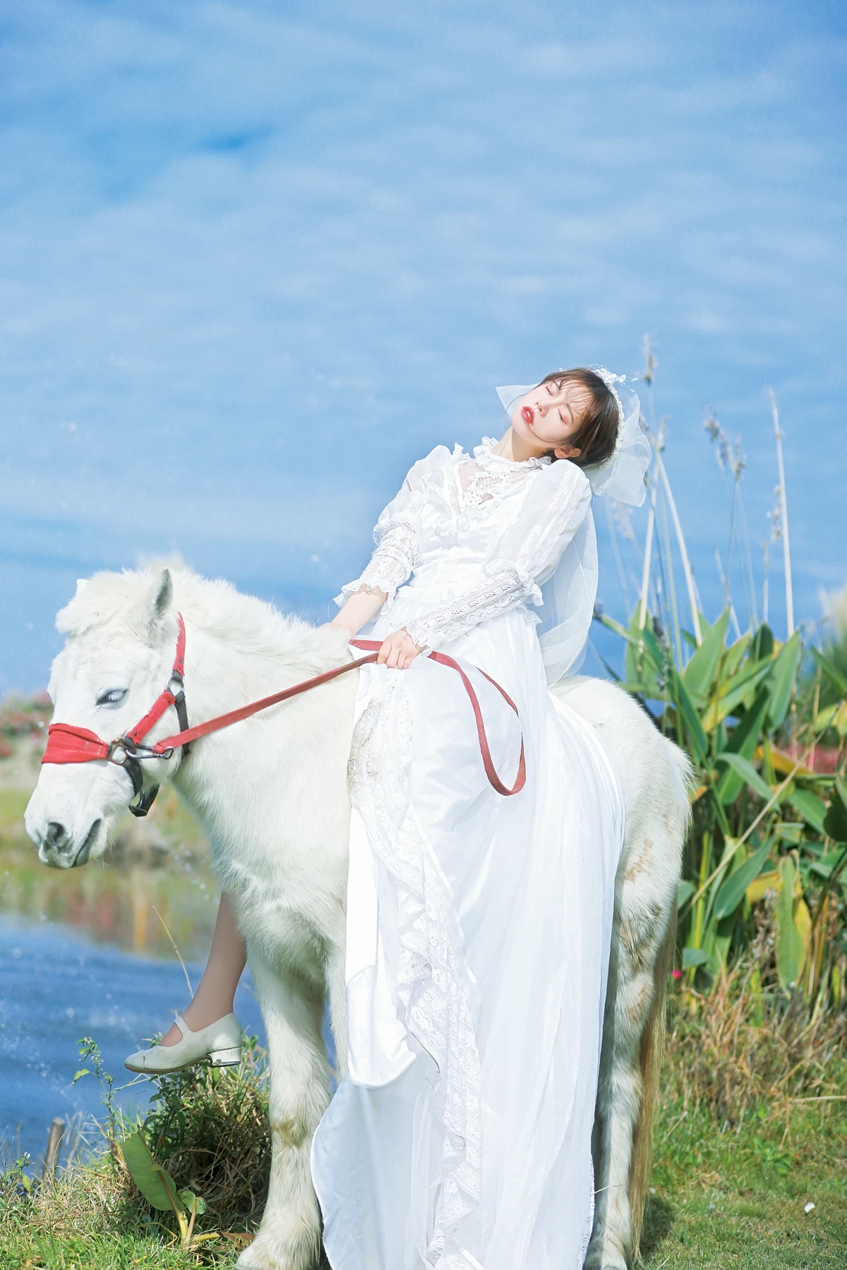 [艺图语] 2023.01.08 Vol.2867 – 桑桑，我带你回家。 林木婷子#[23P]-6