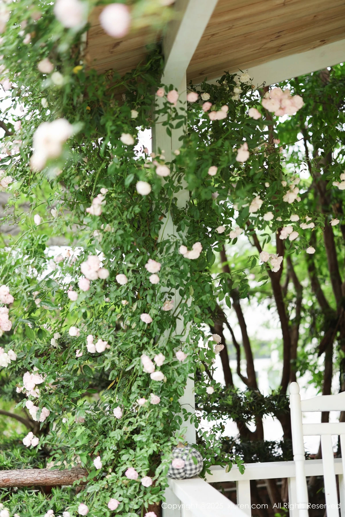[XiuRen] 2025.04.29 No.10215 Mogi Nozomi#[83P]-4