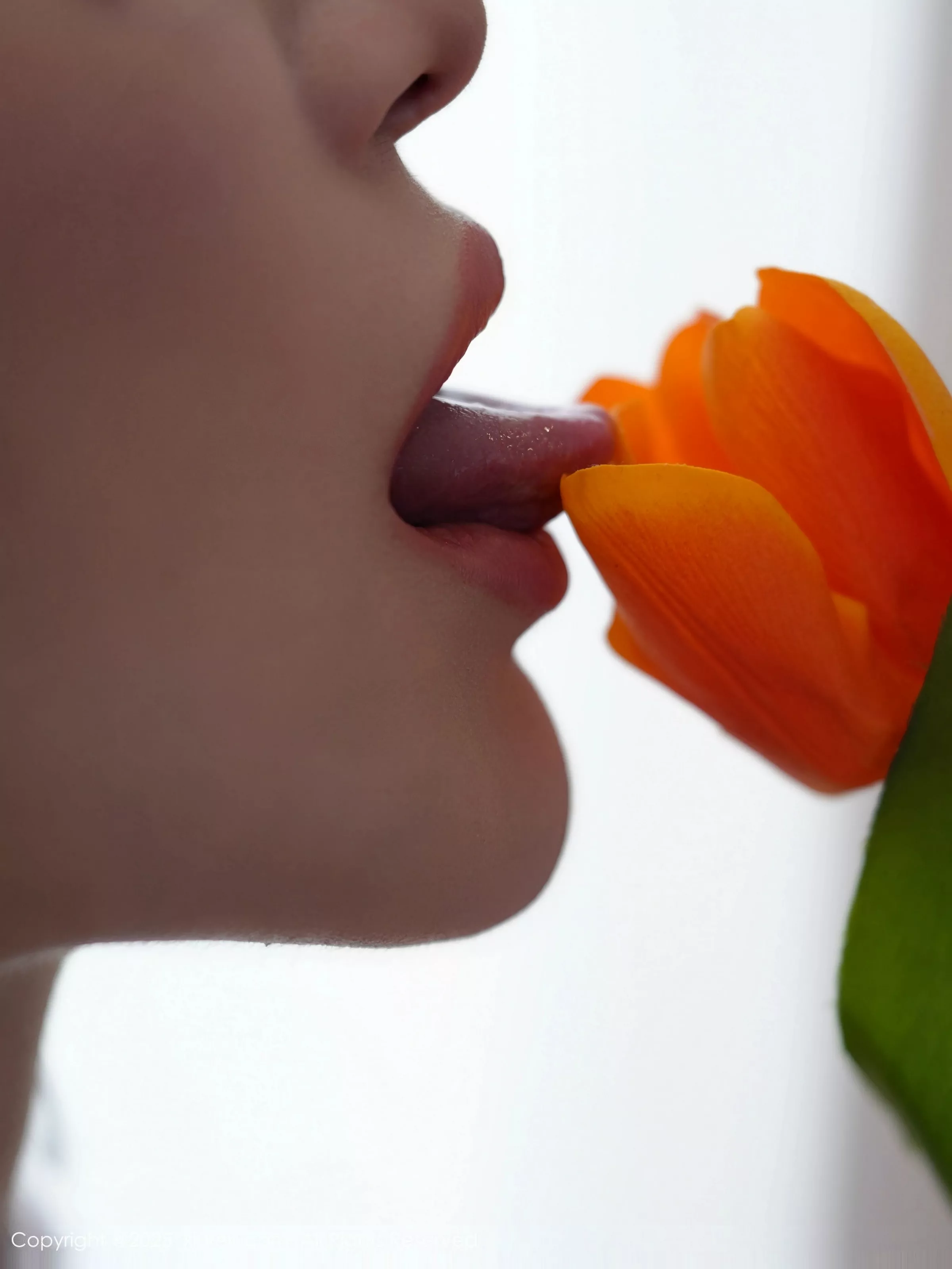 [秀人网] 2025.06.16 No.10416 白露#[85P]-3