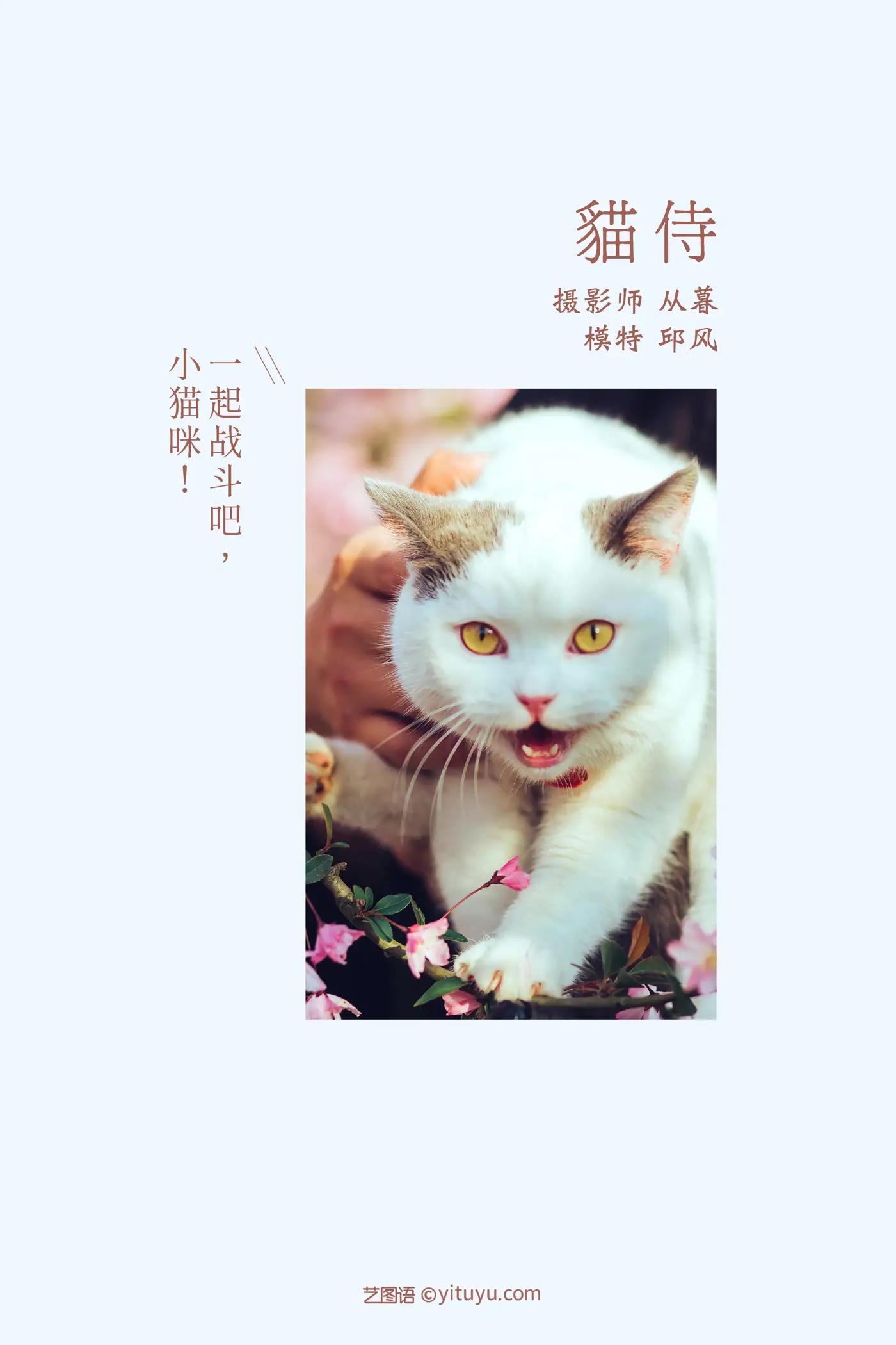 [艺图语] 2021.09.04 Vol.245 – 猫侍 邱风#[31P]-2