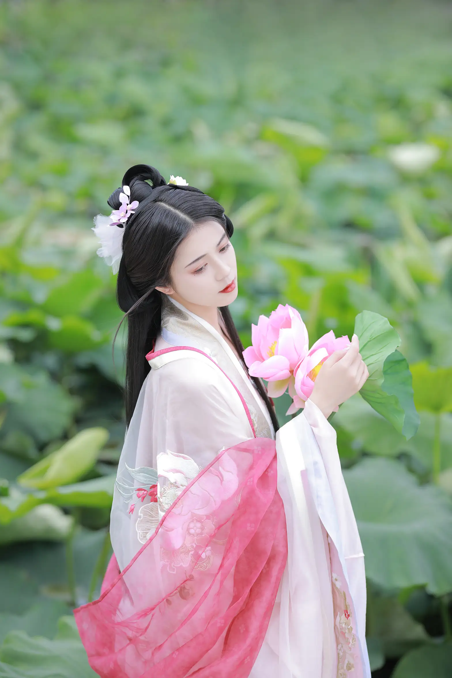 [艺图语] 2022.08.06 Vol.1639 – 山有扶苏，隰有荷华 吾岁#[39P]-5