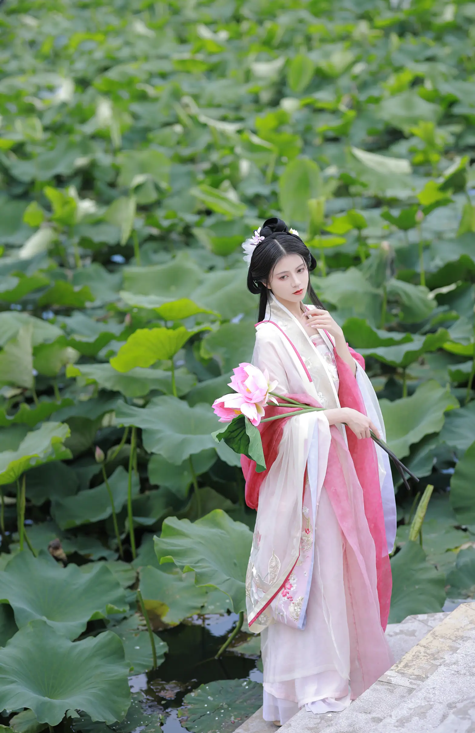 [艺图语] 2022.08.06 Vol.1639 – 山有扶苏，隰有荷华 吾岁#[39P]-8