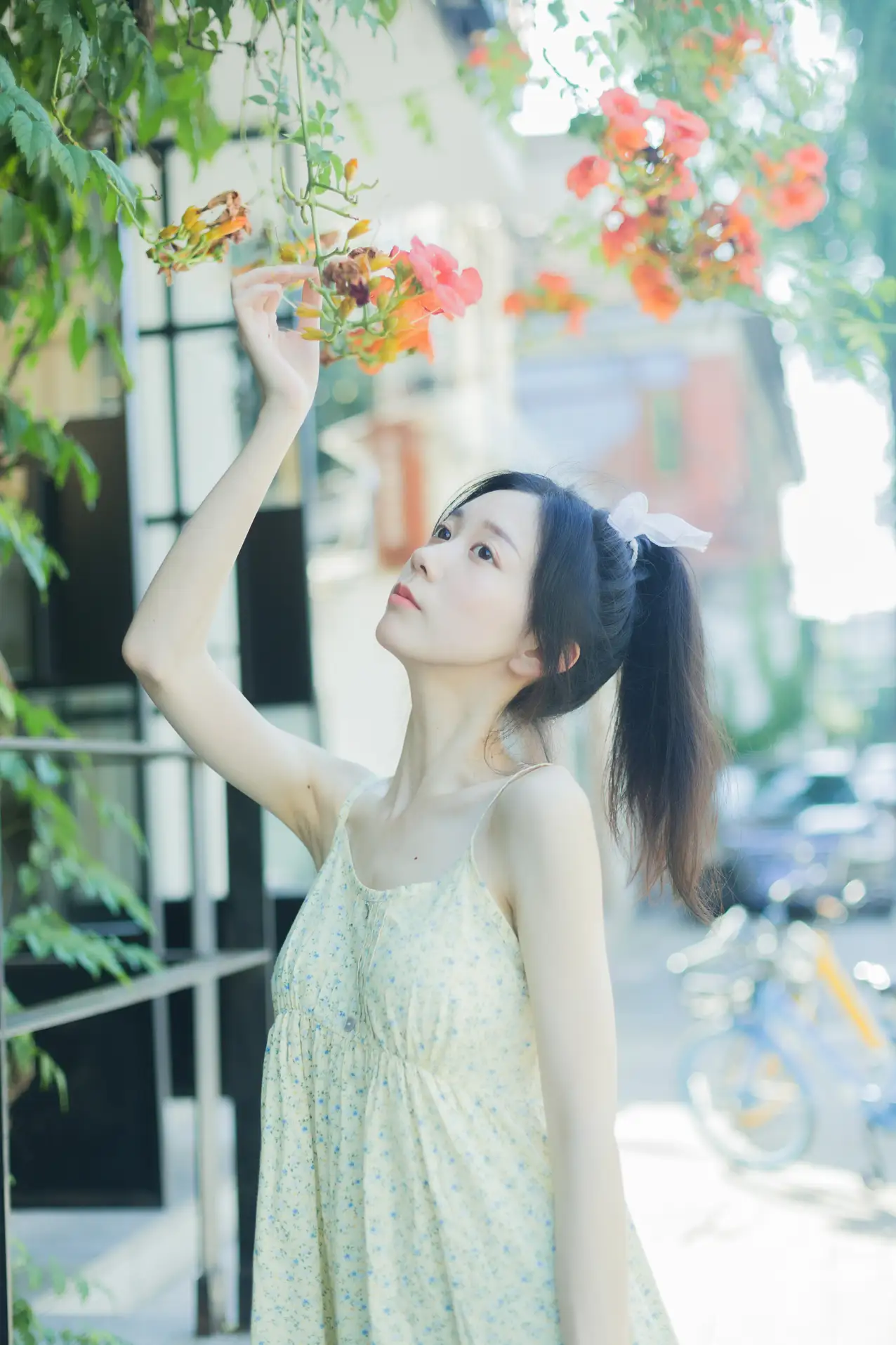 [艺图语] 2022.08.18 Vol.1732 – 夏日凌霄 饲猫少女 饲猫少女-#[33P]-4