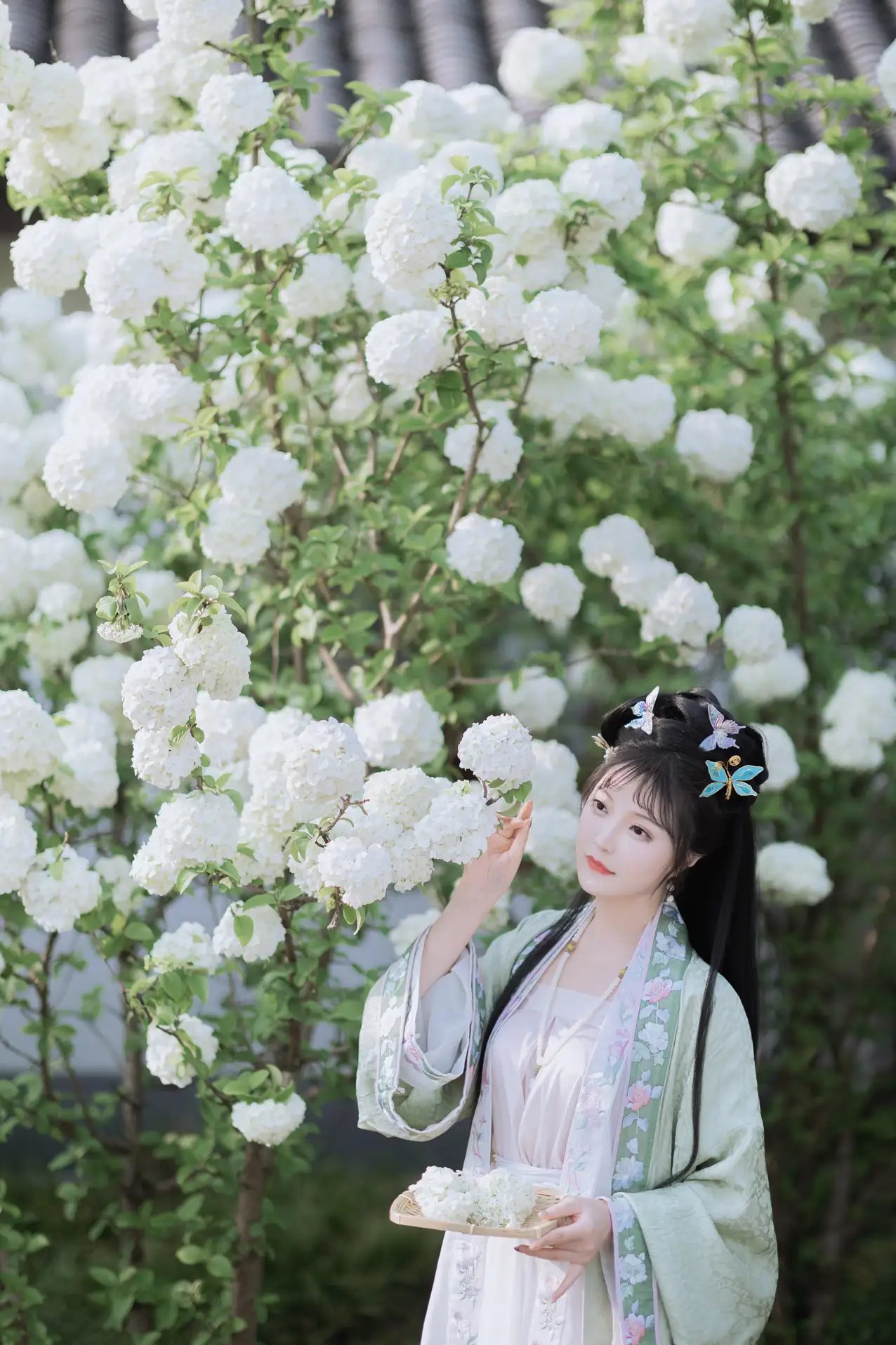 [艺图语] 2022.06.09 Vol.1129 – 探春 璐璐haley#[42P]-1