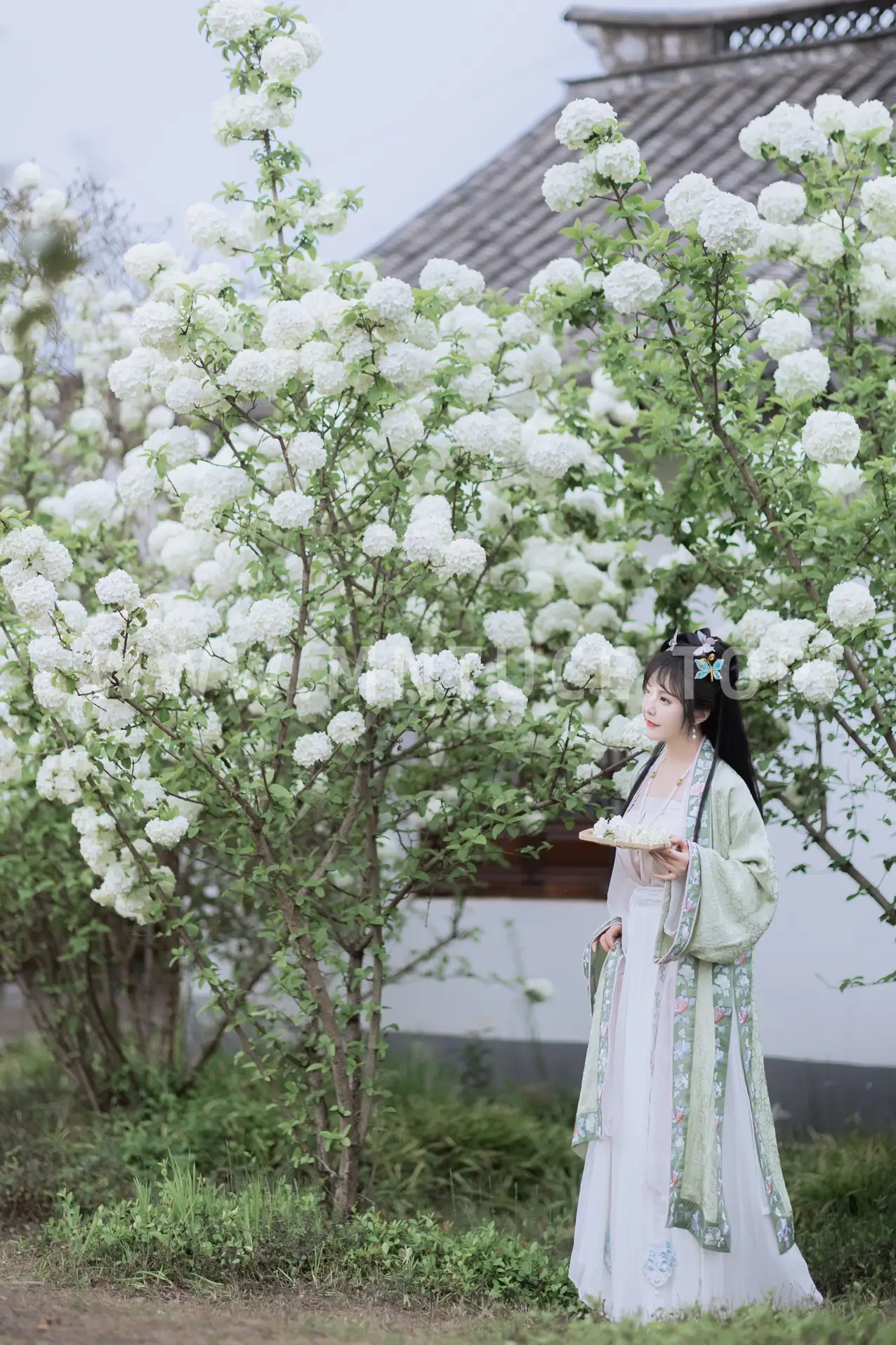 [艺图语] 2022.06.09 Vol.1129 – 探春 璐璐haley#[42P]-4