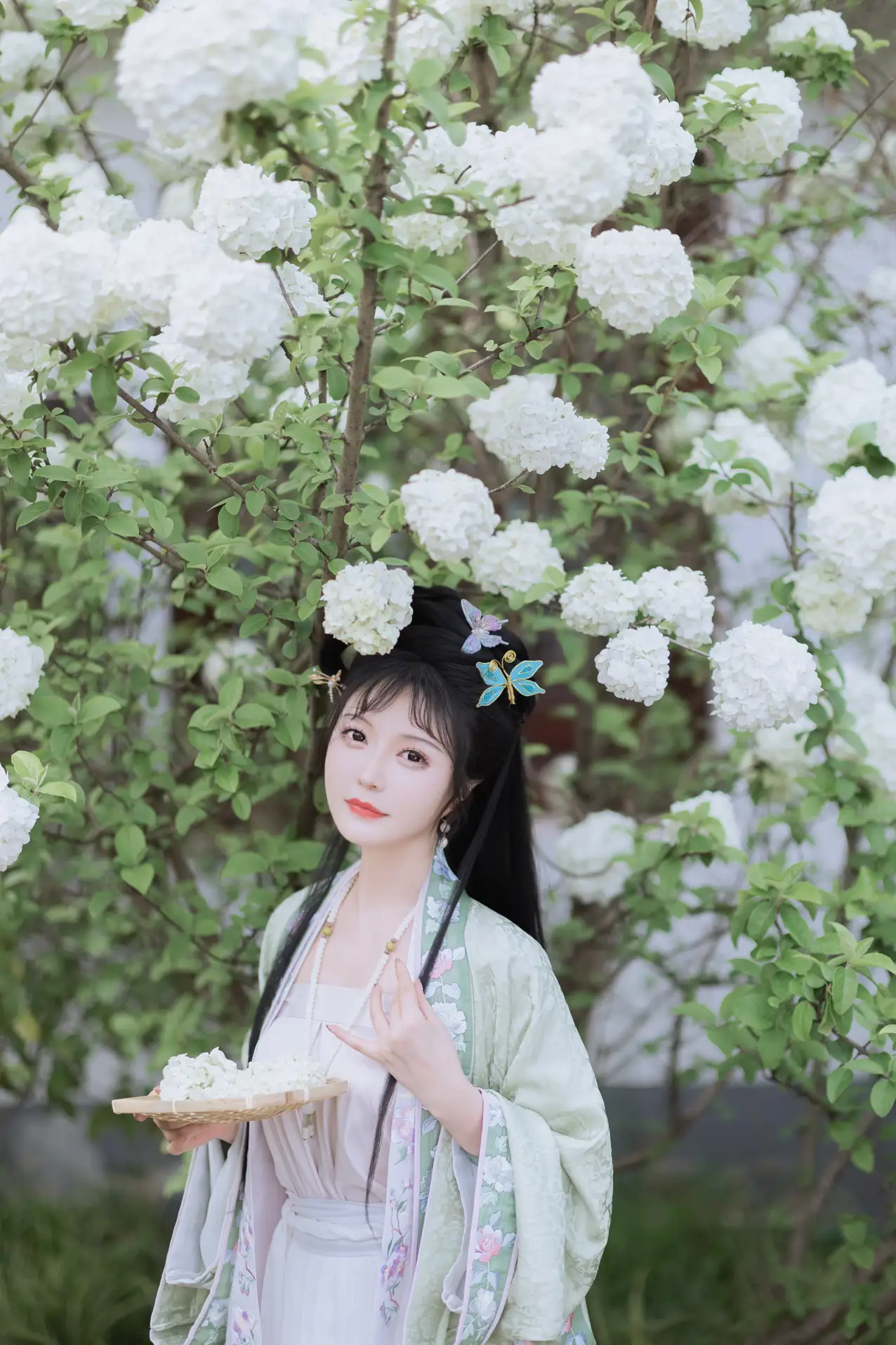 [艺图语] 2022.06.09 Vol.1129 – 探春 璐璐haley#[42P]-5