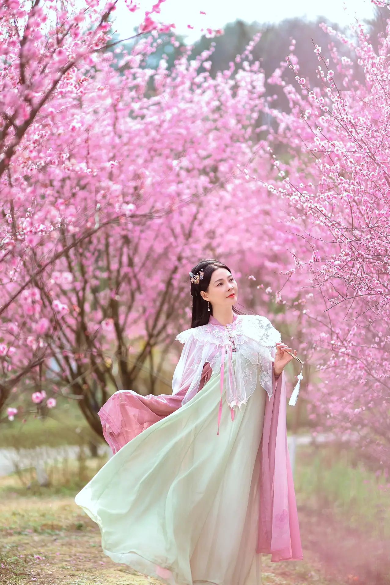 [艺图语] 2022.05.31 Vol.1043 – 暖春樱色 莲#[38P]-4