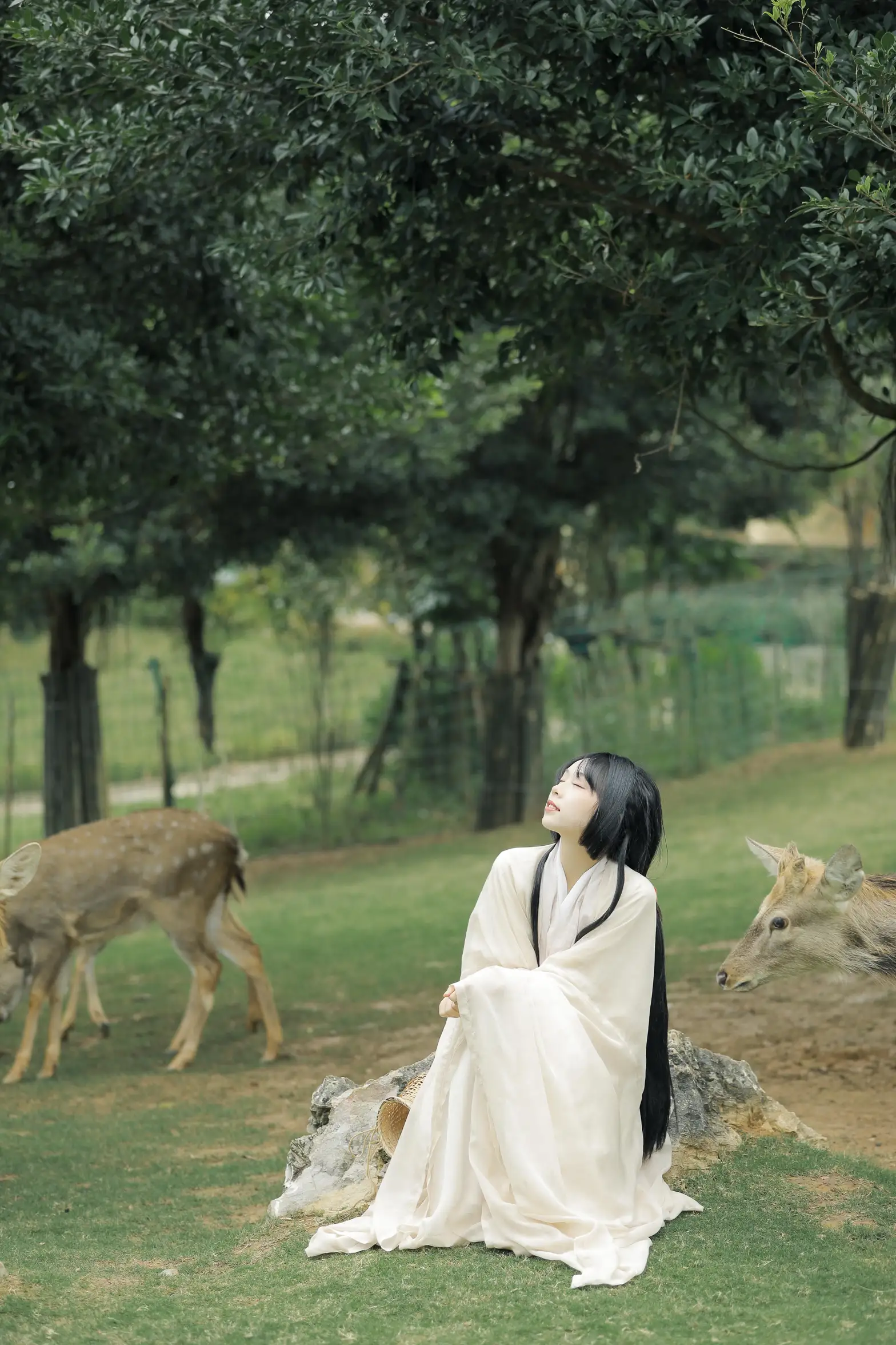 [艺图语] 2022.05.28 Vol.1013 – 鹿鸣 槐枝-#[27P]-1