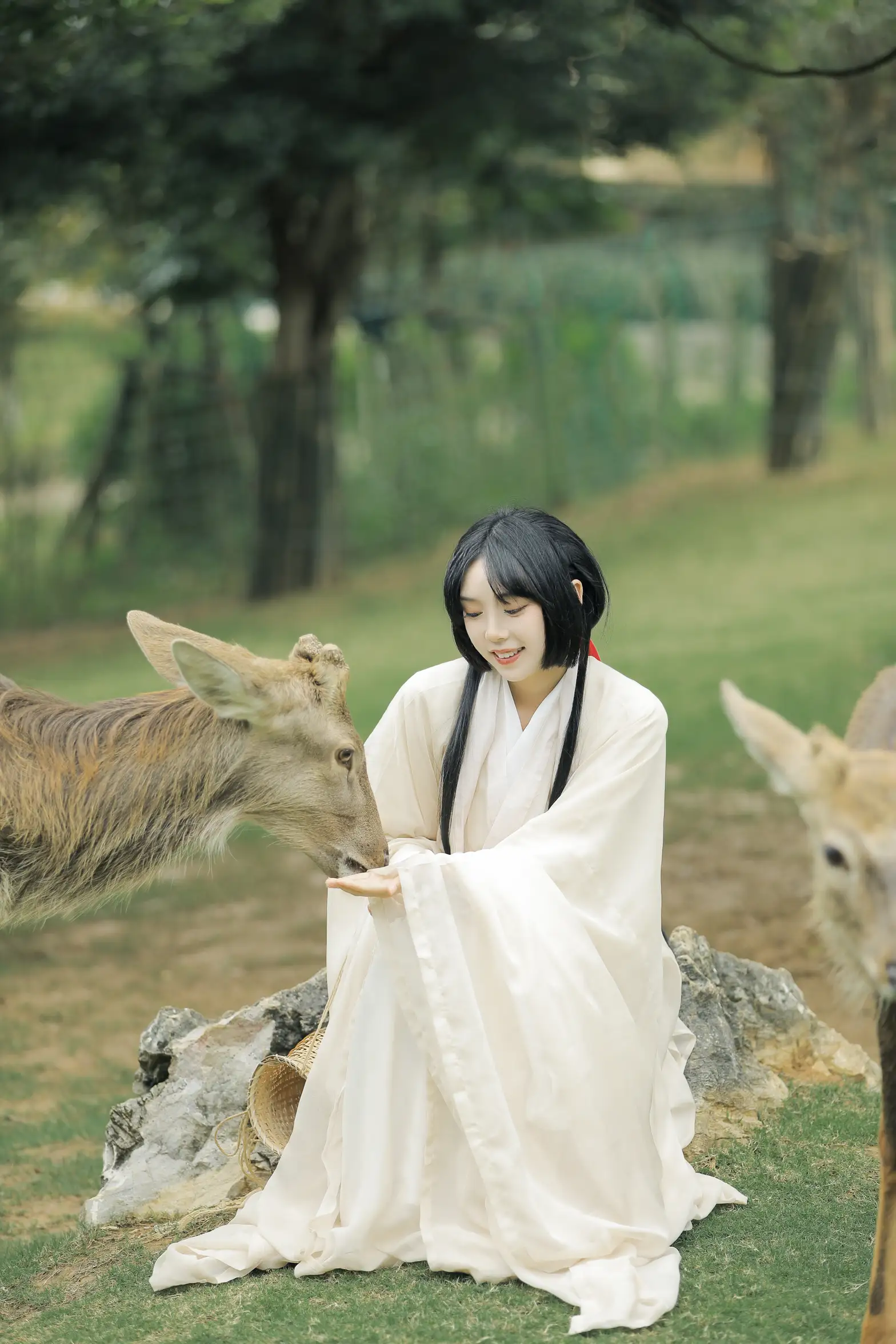 [艺图语] 2022.05.28 Vol.1013 – 鹿鸣 槐枝-#[27P]-2