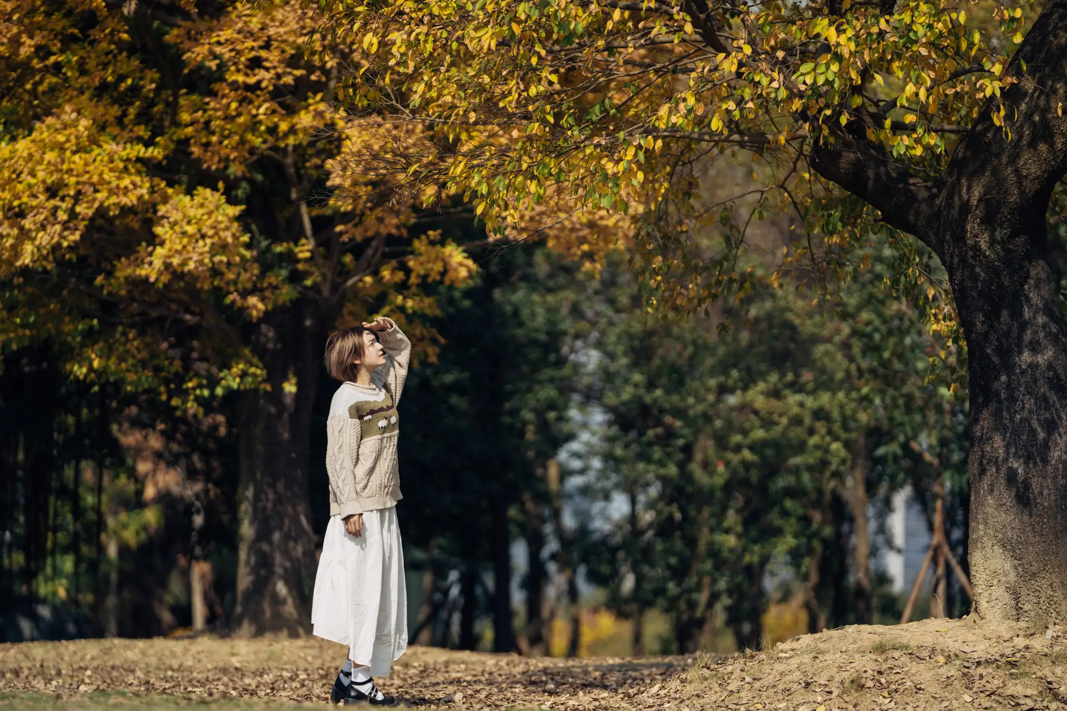 [艺图语] 2022.01.25 Vol.706 – 暖冬银杏，18岁的素颜女孩 dudu#[35P]-2