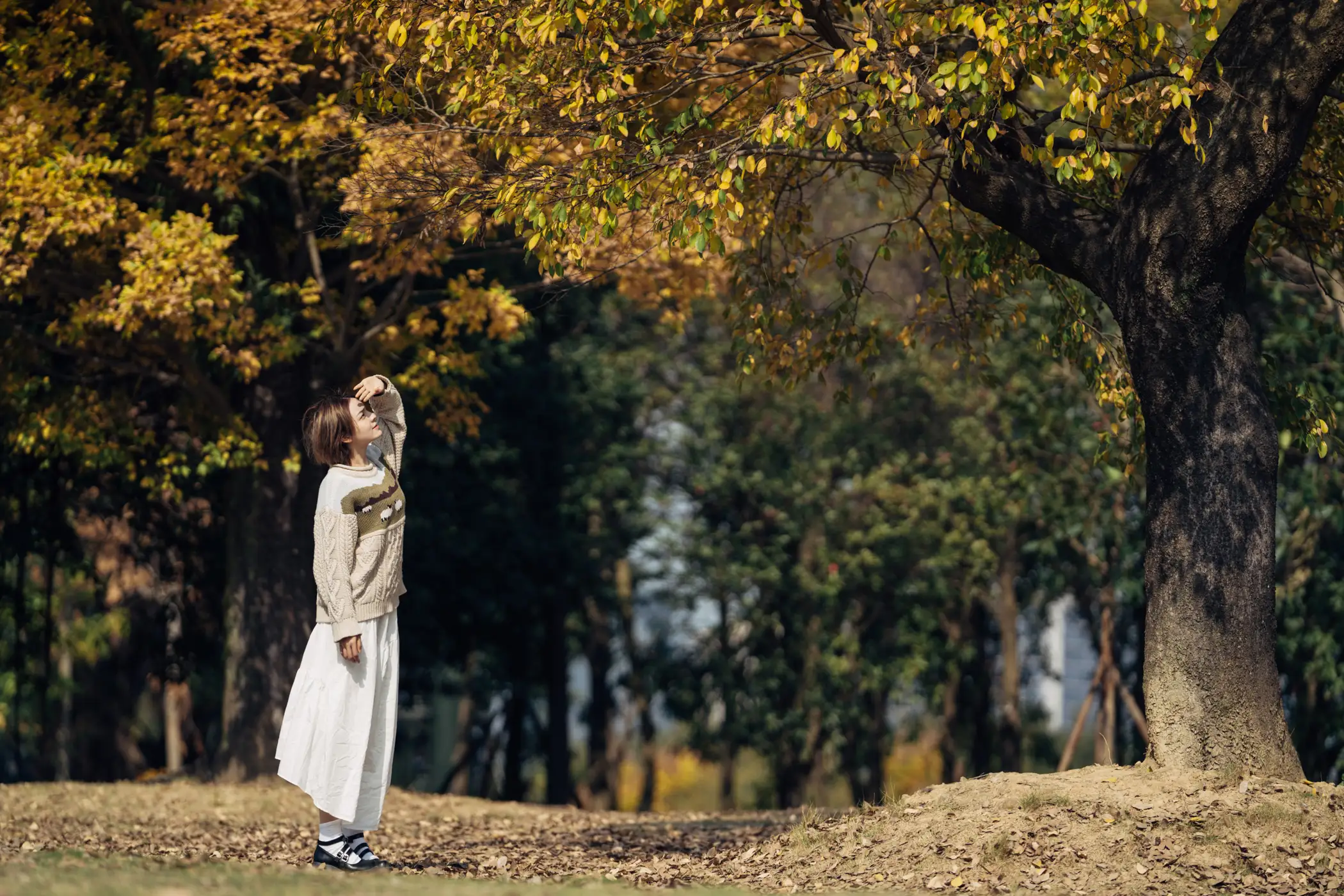 [艺图语] 2022.01.25 Vol.706 – 暖冬银杏，18岁的素颜女孩 dudu#[35P]-3