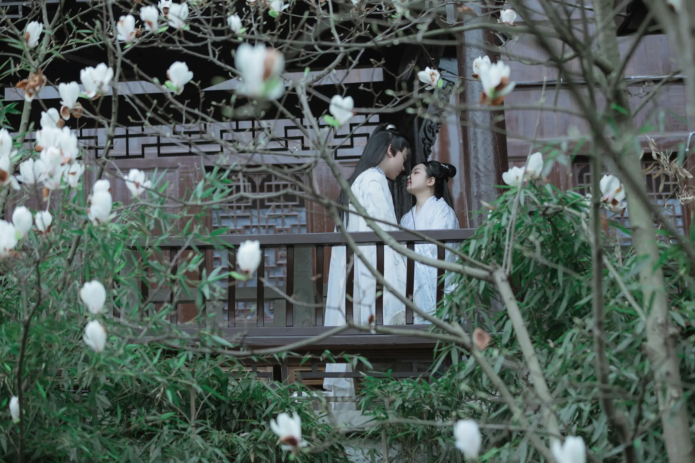[艺图语] 2021.09.04 Vol.249 – 山有木兮 呼呼#[23P]-10