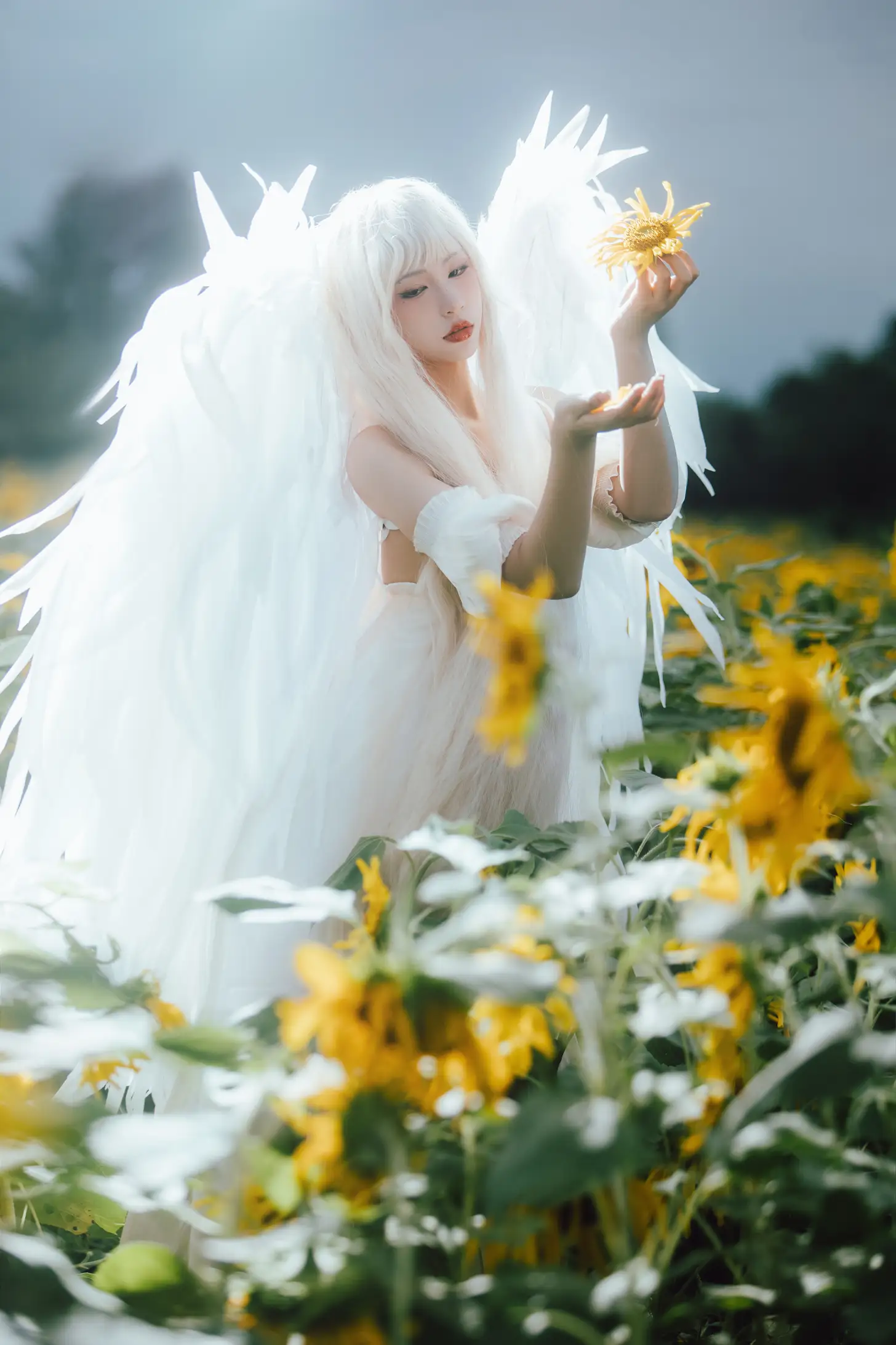 [艺图语] 2022.11.15 Vol.2441 – 孤鸟 努力搬砖的双翮#[21P]-2