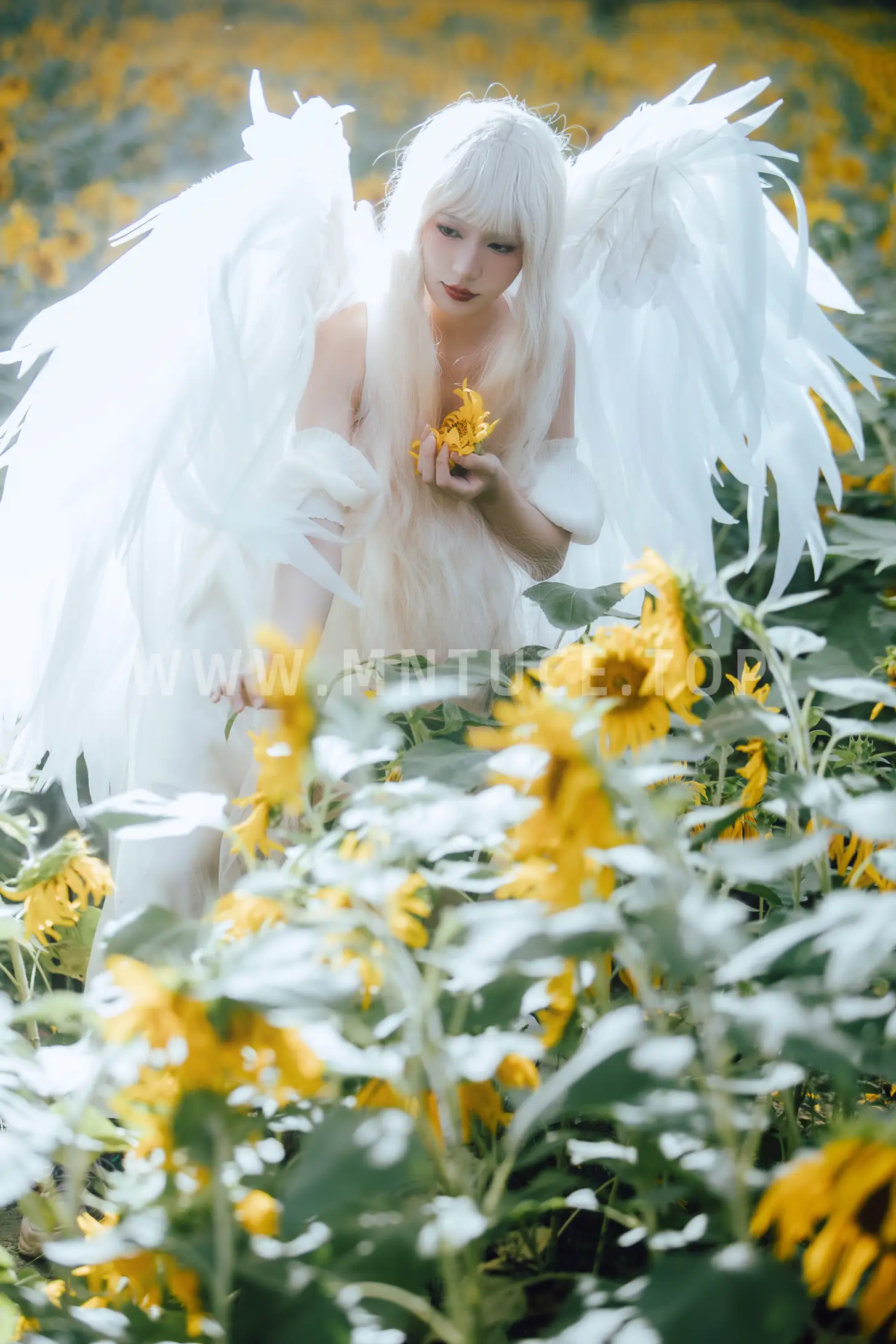[艺图语] 2022.11.15 Vol.2441 – 孤鸟 努力搬砖的双翮#[21P]-4