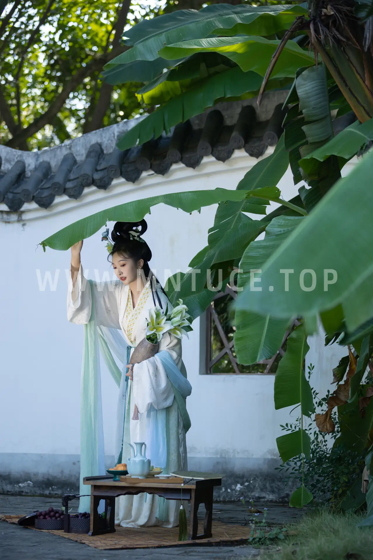 [艺图语] 2022.11.17 Vol.2458 – 绿了芭蕉 丸子有只猫#[34P]-8